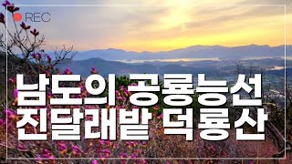 덕룡산 등산코스 / 남도의 공룡능선 / 진달래 군락지 / 암봉산행 / 조망맛집 / 봄꽃 산행 / 강진 가볼만한곳
