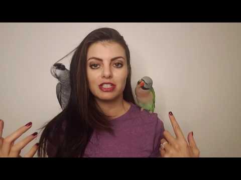 Can Two Different Parrots Be In The Same Cage? 🐤 PARRONT TIP TUESDAY