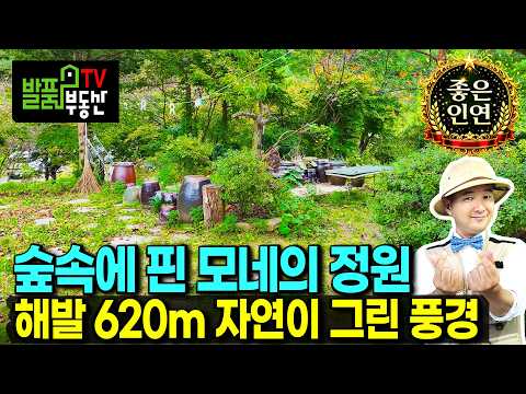 (급매) 모네의 정원을 닮은 집 전원주택 매매 급매물 청정 숲속의 작은 계곡과 넓은 텃밭 공간 올리모델링 2년 깔끔한 실내 가성비 최고 힐링 휴양 요양 <strong>정선부동산</strong> - 발품부동산TV
