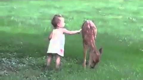 VID-20151225-WA0004.mp4