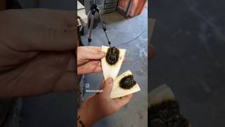 Cuttlefish Bone Casting 🔥