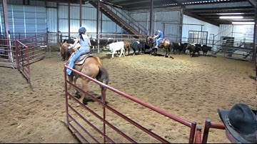 Valley View Ranch - Just Ask Lena - sorting 2