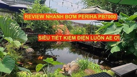 REVIEW NHANH BƠM PERIHA PB7000 SIÊU TIẾT KIỆM ĐIỆN LUÔN AE ƠI