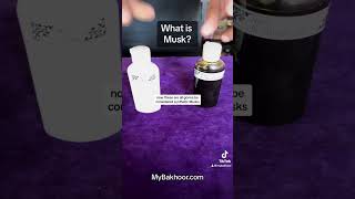 Download Lagu What is Musk? MP3