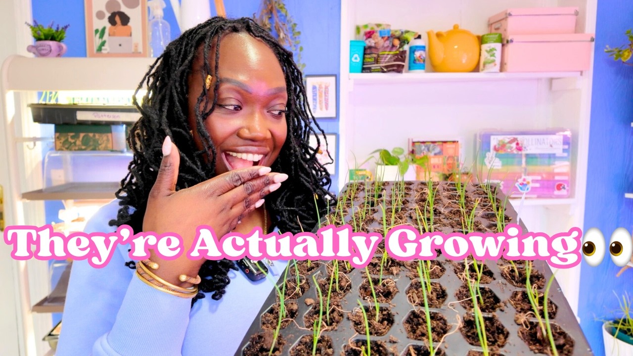 2 Months Later...Jan & Feb Seed Starting Update 🌱❥ NW OH Zone 6B