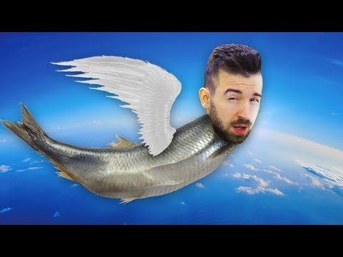 Video: Kdo Je Angelska Riba