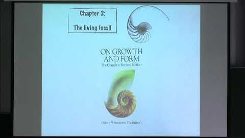 GFSW01 | Prof. Derek Moulton | A story in shells