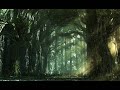 Jeremy Soule - Forest Day (Music Video)