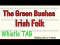 The Green Bushes - Irish Folk - Tin Whistle - Play Along Tab Tutorial