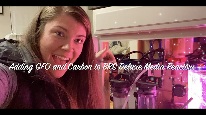 Troubleshooting an acro: GFO and Carbon reactors