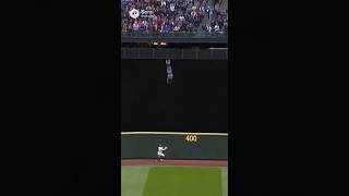 Fan Falls From Upper Deck Onto Track 😱🔥