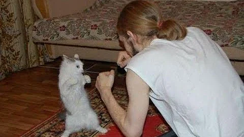 Watch the video about BIGGEST Animal Fails And Cute Animal Reactions Caught On Camera #0013