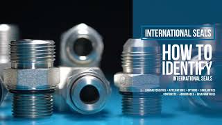 Fittings 101: International Seals