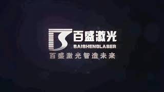 Baisheng Fiber Laser Cutting F3015E for Metal by Sigmaco