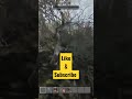 Tips For New Players 7 Days To Die #gaming #7daystodie #fyp