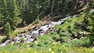 Information 🚩 Don’t Miss This High-Altitude Trail in Colorado Guide