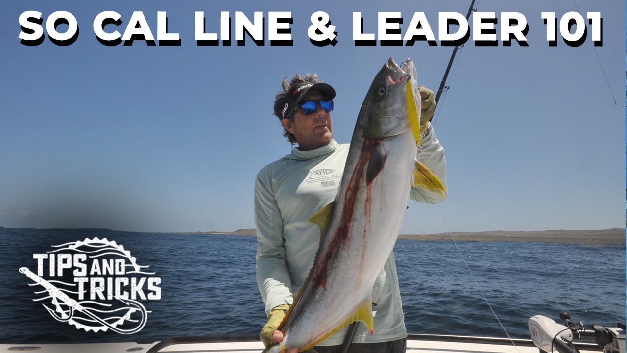 Line Rider Catch Choosing the right combination of line and leader - SoCal Bight FISHING ...