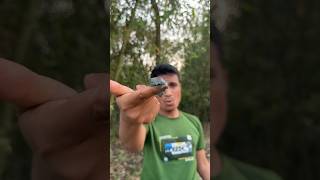 Making something with water in snake's mani #camping #bushcraft #survival #facts #skills #lifehacks