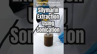 Silymarin - Cold Milk Thistle Extraction By Ultrasonication