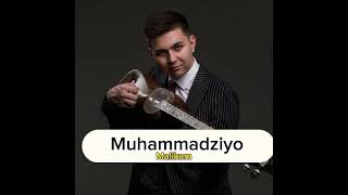 Muhammadziyo | Malikam (premyera audio mp3) 2024
