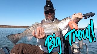 Big trout fishing in low water level ...