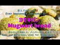 【ヨモギパン】初心者でも作れる簡単よもぎパン解説付き、Easy mugwart bread that even beginners can make.