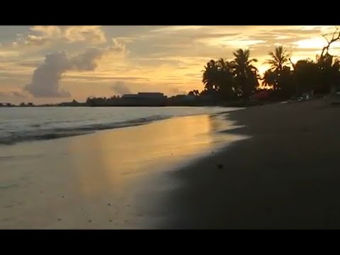 Nikmati Senja Di Pantai Pohon Cinta Youtube