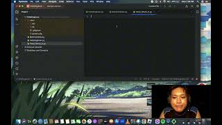 Python: How to Illustrate Basic Variables and the Input Function