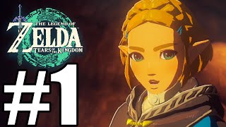 The Legend of Zelda: Tears of the Kingdom Gameplay Walkthrough Part 1 - Intro