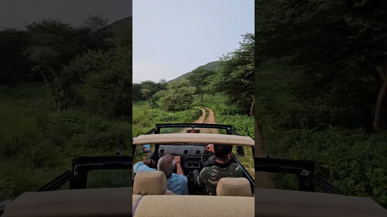 Overhyped Places of Jaipur | Part 1| Amagarh Leopard Reserve 