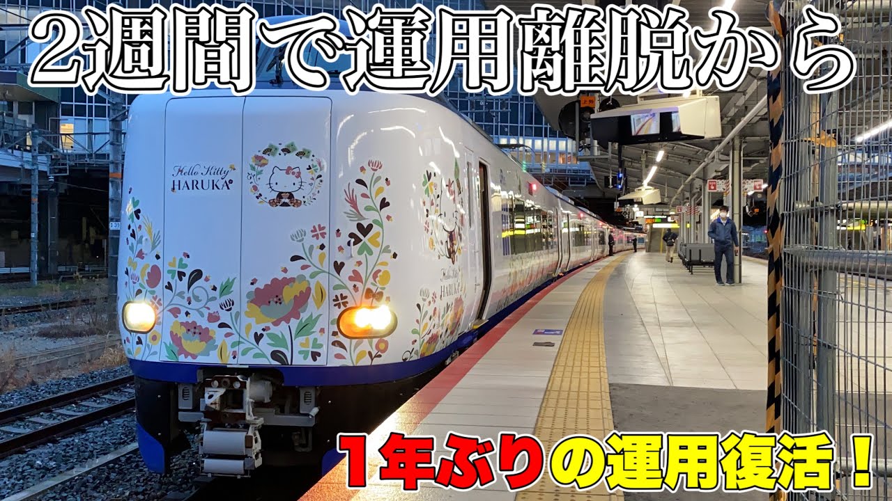 1年ぶりの営業復帰】271系関空特急はるか1号に乗ってきた！ - Japan
