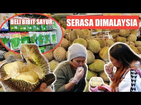 HARGA DUREN MALAYSIA SELANGIT + BELI BIBIT SAYUR