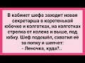 Шеф Подкатил к Новой Секретарше! Сборник Свежих Смешных Жизненных Анекдотов!