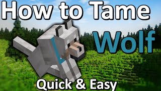 How To Tame A Wolf Minecraft Quick Easy