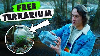 How To Make A Terrarium Without Spending Any Money