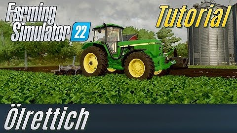 LS22 Tutorial: Ölrettich als Dünger (für Einsteiger)