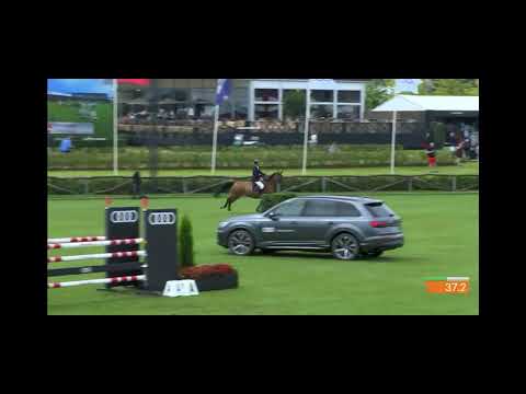 Etikarta V Z - CSI1* Brussels Stephex Masters - 24 08 2023