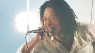 THE BACK HORN - コバルトブルー　2016