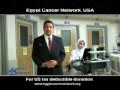 Dr magdy hanafi egypt cancer network 57357 usa