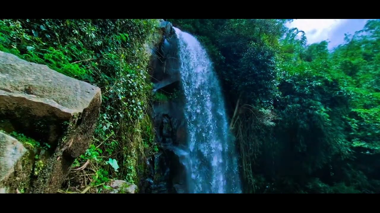 Gentle River and Bird Sounds for Sleep