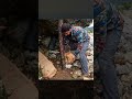 Building a Shelter Inside a Gap Between Two Large Rocks / Camping / Survival / DIY Wood / Decor home