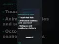 ESP32 powers ASCII aquarium with interactive fish