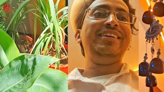Life with Restaurant Orders | Lotus Cafe & Restaurant | Dwarahat