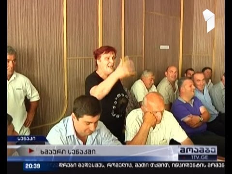 ხმაურიანი აქცია სენაკის საკრებულოსთან