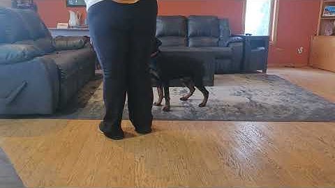 Fable - Colander Searches - November 25, 2025