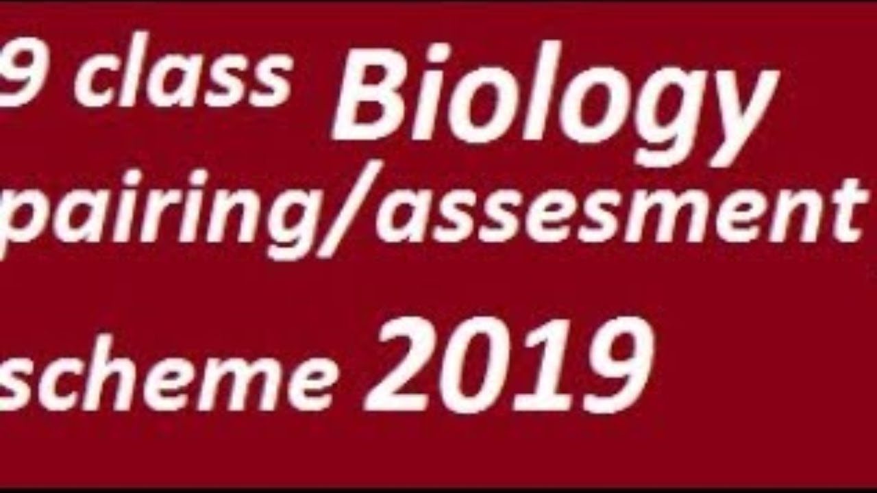 9th class biology guess paper 2019 / Math-9th new pairing Scheme & Paper Pattern-2019
