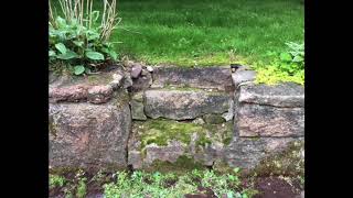Depth Psychology, Jane Eyre, Lyrical Analysis and Summary, Chapters 10 13