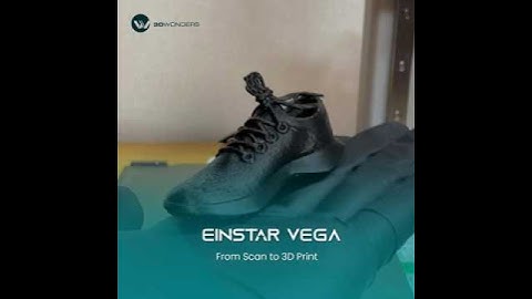 Einstar Vega | From Scan to 3D Print