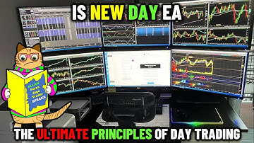 ▶🐱‍🚀Know When It Is A New Day™🔆🕒. For Day Trading Strategy In MQL5 EA [PART 345] (Official Video)