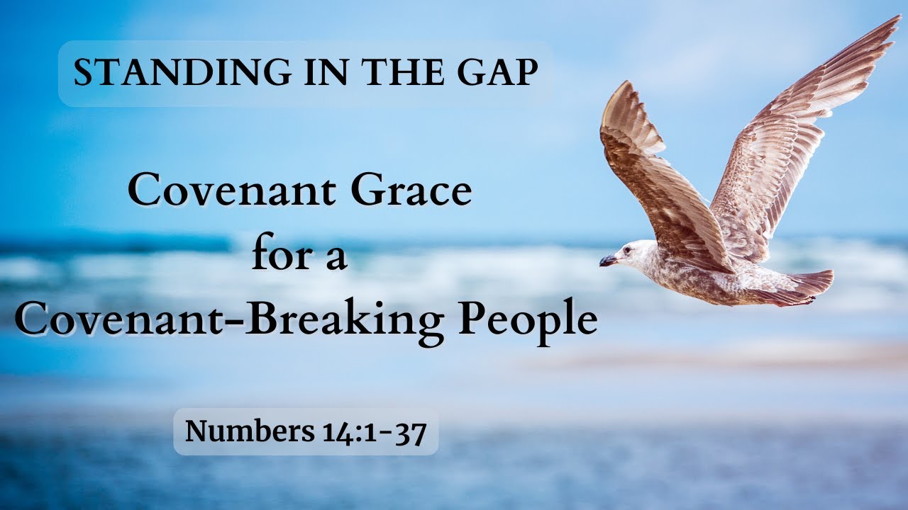 Standing In The Gap: Covenant Grace for a Covenant- Breaking People